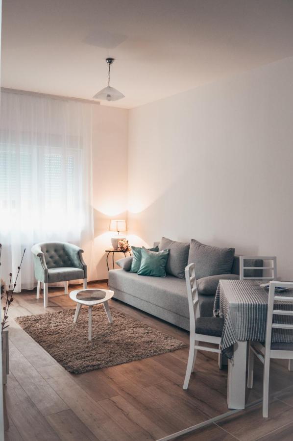Banja Koviljača Apartman Lena מראה חיצוני תמונה