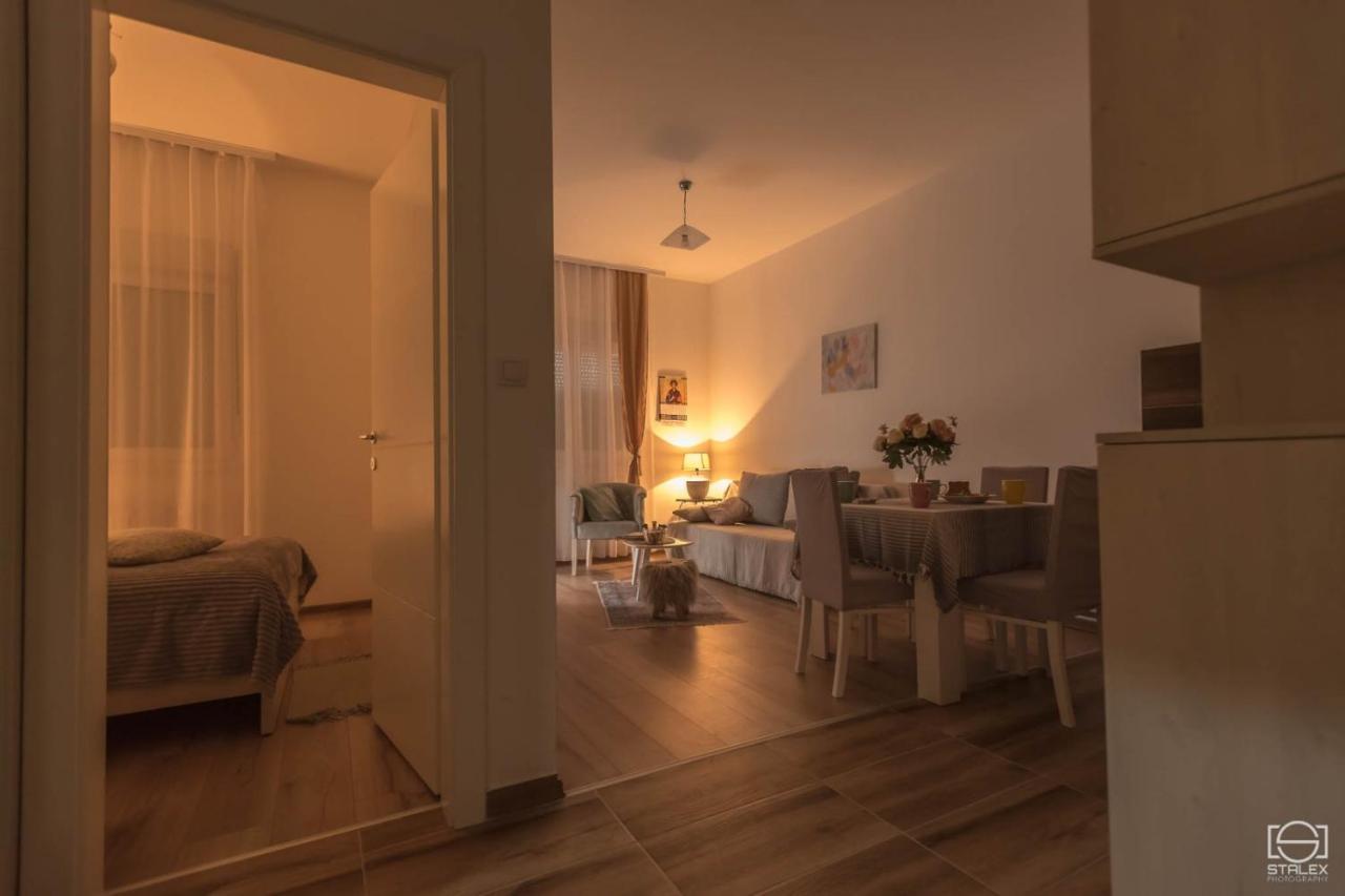Banja Koviljača Apartman Lena מראה חיצוני תמונה
